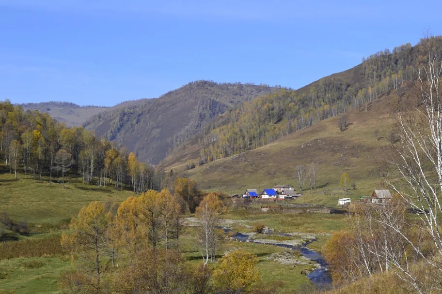 Белое